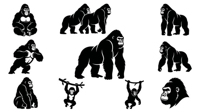Black and white vector silhouette set of Gorilla
