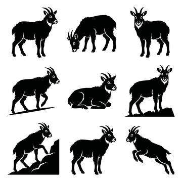 Black and white vector silhouette set of Goral