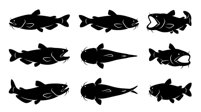 Black and white vector silhouette set of Gulper Catfish