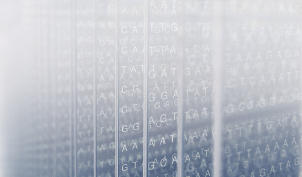 Abstract DNA genetic code sequence on misty defocused background. Perfect for biotechnology, genomics, genetic research, personalized medicine, genomic data, bioinformatics and pharmaceutical concepts