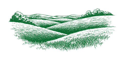 Green rolling hills and trees sketched in a vintage style grass © Salam