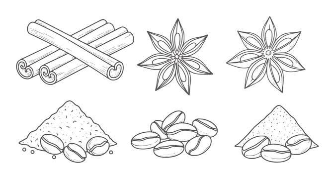 Hand drawn collection of cinnamon sticks star anise coffee beans and powder