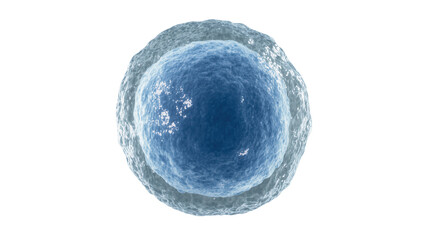 Blue cell nucleus with textured outer membrane, isolated on transparent background