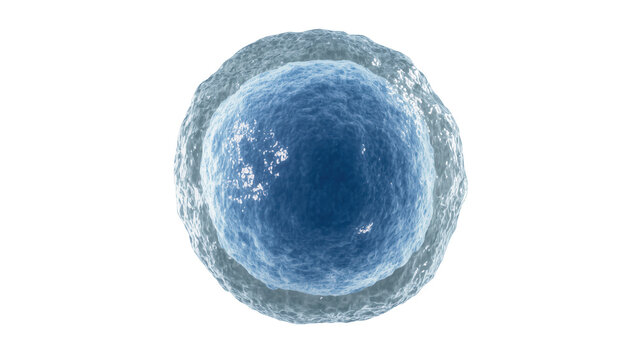 Blue cell nucleus with textured outer membrane, isolated on transparent background