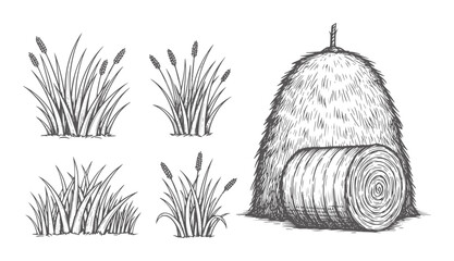Of cattails and a large hay bale with a round bale grass field © Salam