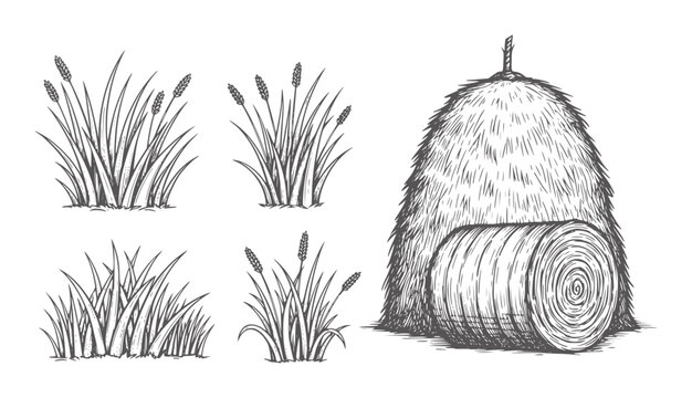 Of cattails and a large hay bale with a round bale grass field