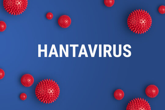 Bold white Hantavirus text centered on deep blue background surrounded by red spiky 3D virus cell models of various sizes, clean medical concept design