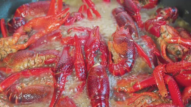 Red crawfish boiling in steaming seafood pot