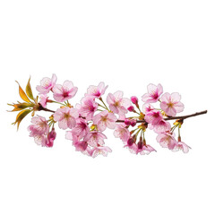 Naklejka premium Delicate pink blossoms on a branch