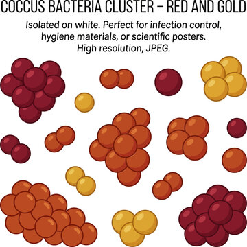 Microscopic bacteria cluster medical illustration in red and gold hues.