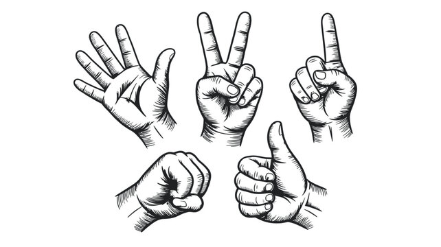Collection of hand drawn gestures for counting and signaling with counting illustration communication