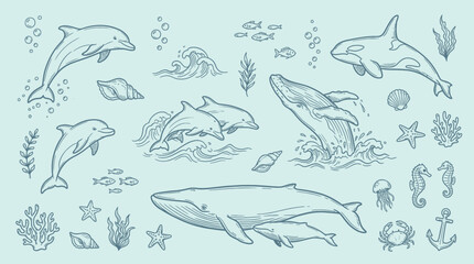 Collection of marine animals and underwater elements in a hand-drawn sketch style. © KN collection