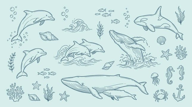 Collection of marine animals and underwater elements in a hand-drawn sketch style.