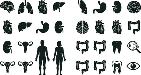 Comprehensive human anatomy silhouette set featuring internal organs full body male and female figures tooth and eye icons © MDKhademul