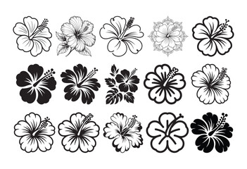 Fototapeta premium Hibiscus Flower Vector Set, Tropical Floral Line Art and Silhouette Collection, Botanical Flower Illustration Bundle