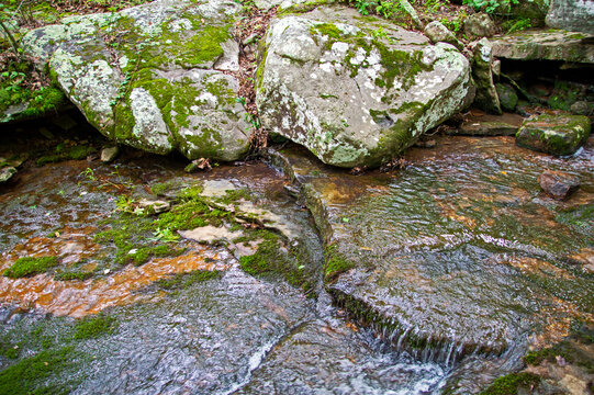 Gently flowing brook