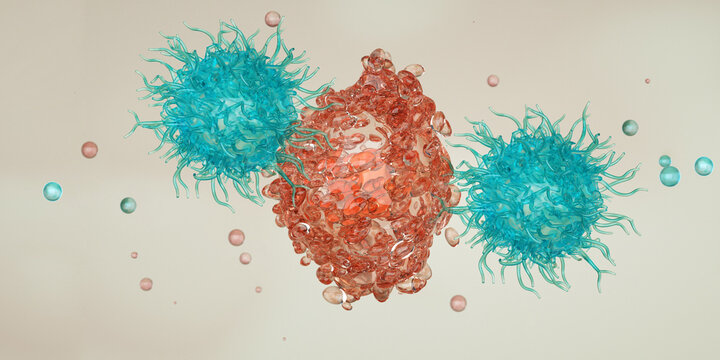 Cytotoxic T cells (blue) attack a cancer cell (red). Killer T-cell or B-cell concept. CAR T-Cell Therapy. White blood cells. Natural killer cell. Photo stock