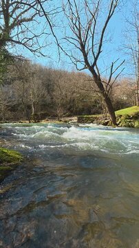 Clear river rushes over rocks beneath bare trees.  Ozren Mountain, Sokobanja region. Balkans, Serbia.