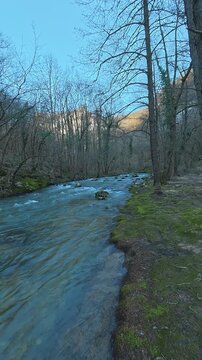 Soft blue sky glows above bare tree branches.  Ozren Mountain, Sokobanja region. Balkans, Serbia.