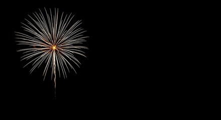 Fototapeta premium Vibrant fireworks explosion in the night sky with bright orange and yellow streaks