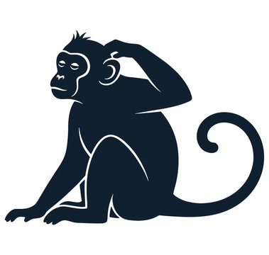 monkey sitting on floor with hand on head looking puzzled sideways one leg bent