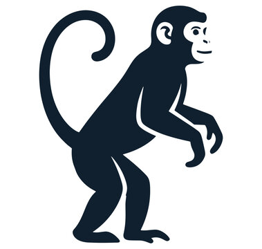Monkey standing on two legs with curled tail looking forward