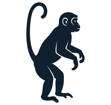 Monkey standing on two legs with tail up  primate silhouette