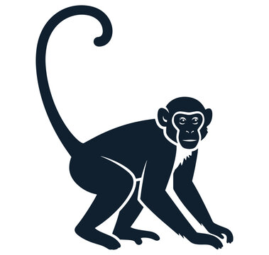 monkey with long tail and white outline on white background