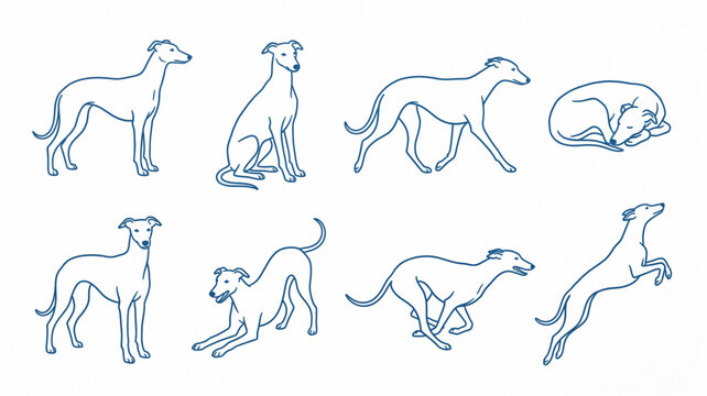 Minimalist Greyhound Dog Poses Line Art Set Elegant Slender Dog Illustration Collection