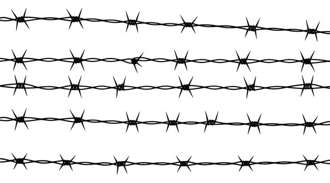 Barbed Wire Lines: Detailed shot of razor sharp lines. concept of restriction, security, or imprisonment. industrial texture, steel design, protective barrier, danger symbol.