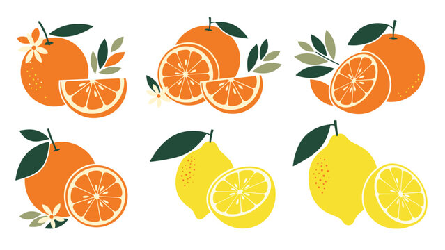 Vibrant collection of fresh oranges and lemons, both whole and sliced, adorned with green leaves and delicate blossoms, on a plain background.