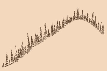 Vintage hand drawn sketch of coniferous forest skyline on curved hill slope. Minimalist rustic vector illustration of pine and spruce trees silhouette. © cgterminal