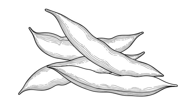 Detailed black and white engraving illustration of a pile of dried vanilla pods, showcasing their characteristic texture and elegant form.