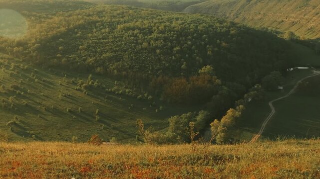 Wildflower Covered Bluff Overlooking Forest Hollow And Distant River, Warm Lens Flare, Soft Sunset Tones,