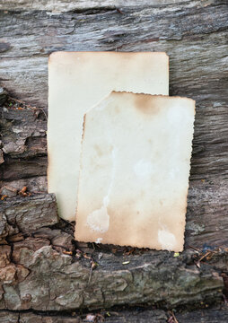 Vintage empty paper lies on the old wooden background