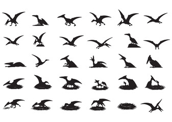Pterodactyl Flying Dinosaur Silhouette Collection in Various Poses Isolated on White Background © Ikmalia
