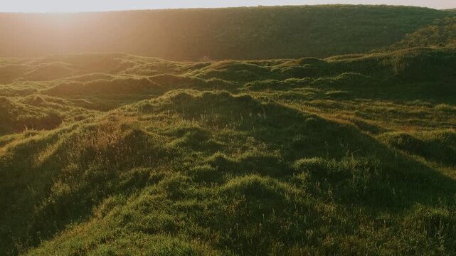 Sunlit Rolling Hills With Grasses And Soft Contours, Wide Pastoral Expanse Under Warm Golden Light, Calm