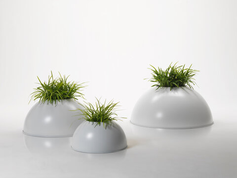 Still life of white metal vases, with plants, on a neutral background