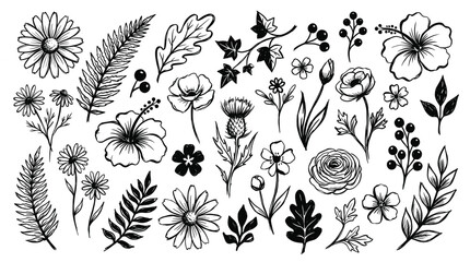 Obraz premium Botanical garden plant collection in monotone ink style, featuring wildflowers, tropical foliage, berries, oak leaves, and stems