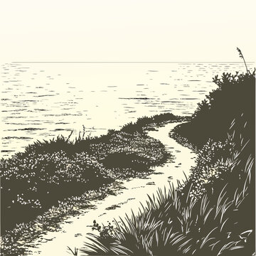 Scenic seaside path along a coastal grassy cliff overlooking the ocean