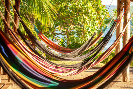 Sunlit hammocks swaying beneath pal trees overlooking tropical water