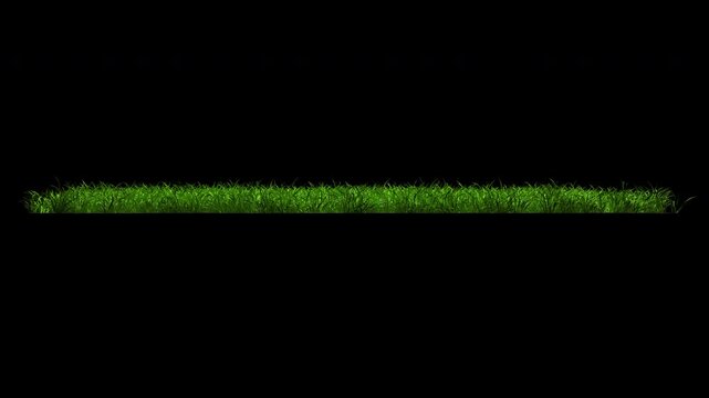 Green grass isolated on alpha channal