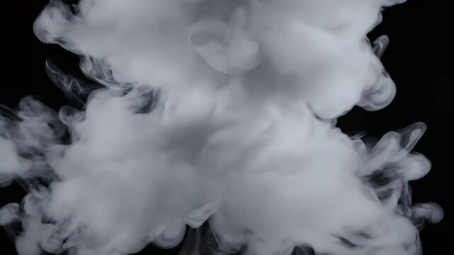A striking image showcases a billowing cloud of white smoke dramatically contrasted against a stark black background, creating a visually compelling and ethereal composition.