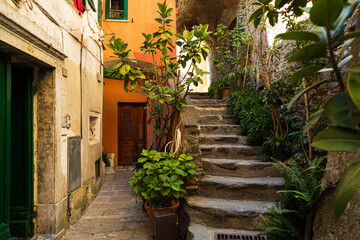 Fototapeta premium Cinque Terre narrow street 