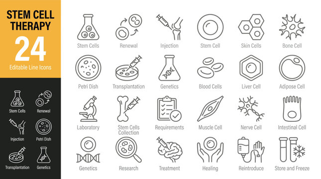 
Stem Cell Therapy Line Editable Icons set. Vector illustration in modern thin line style of science related icons: type of human body cells, stages of stem cell therapy, and more. 