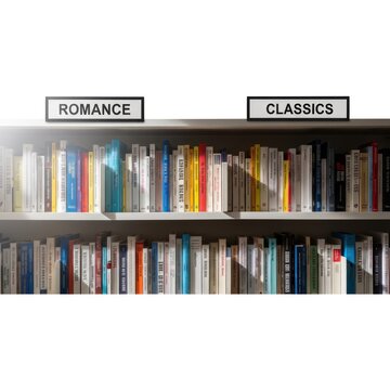 Shelves of books for romance and classics
