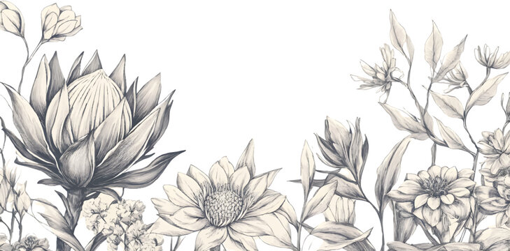 vector floral background with blooming king protea and wild flowers, hand-drawn line art, on a transparent background.