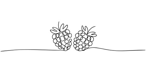 Raspberry continuous line drawing. Minimalist berry illustration, raspberry berry is drawn by one continuous line on a background of abstract spots of crimson and green colour on a white background © Parboti