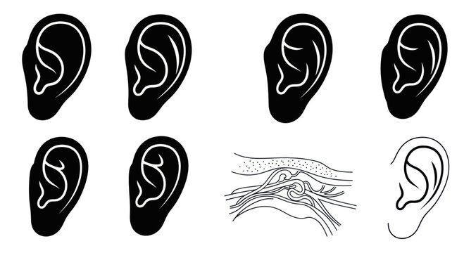 Human Ears Anatomy and Silhouette Collection