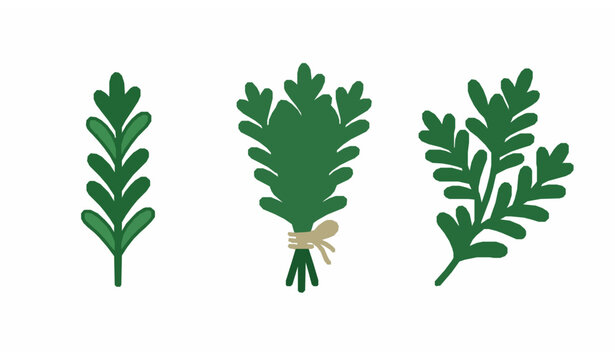 Rosemary herb flat icon set with sprig bundle and branch elements for spice packaging and food design
